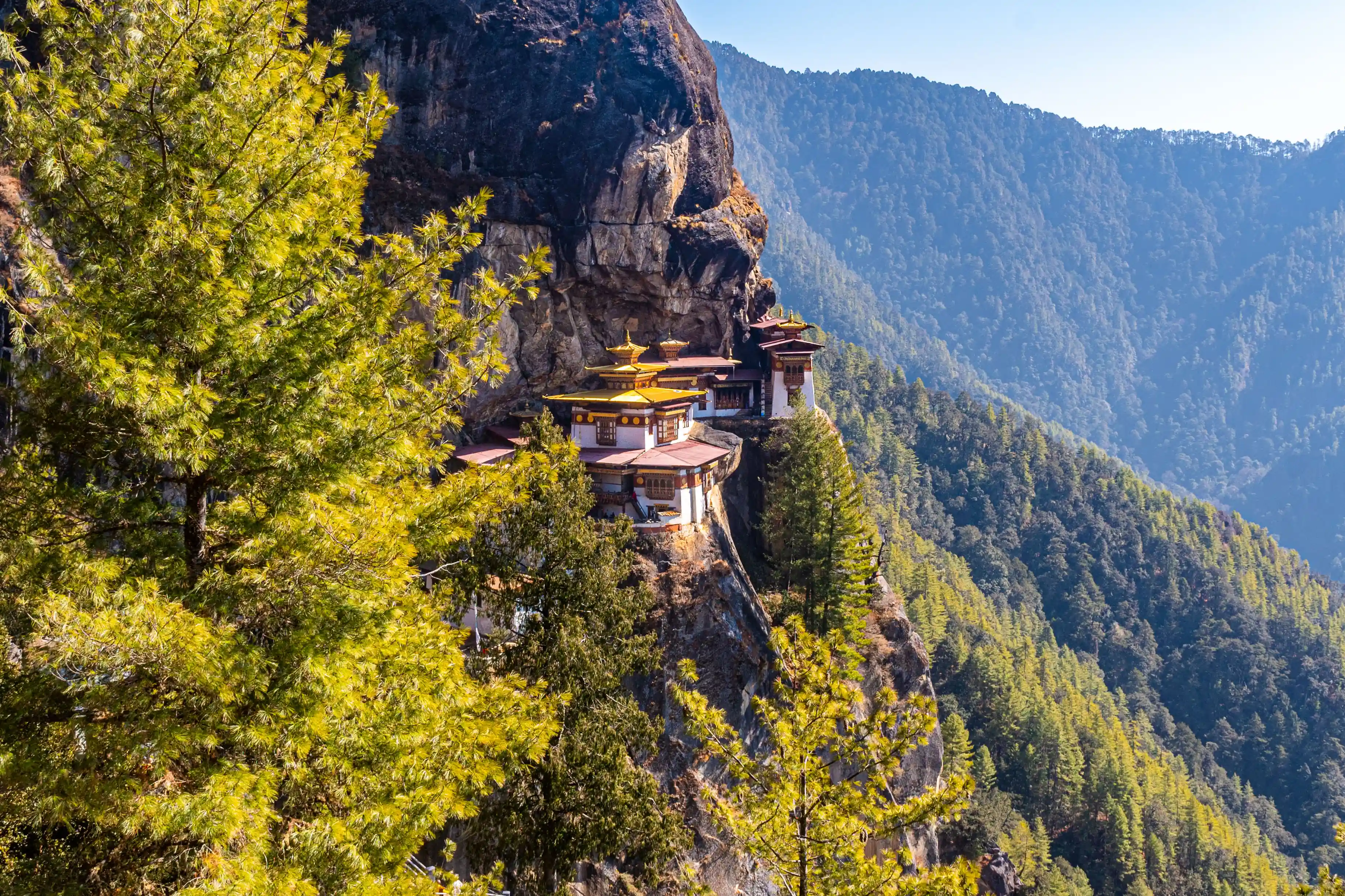 Himalayan horizons